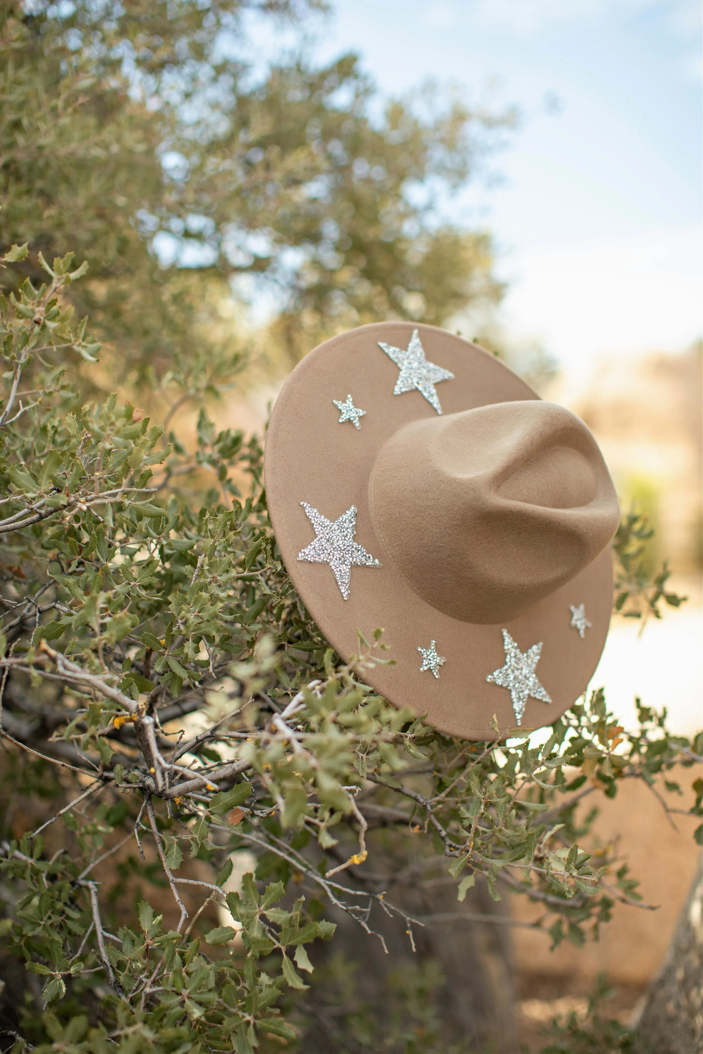 FINAL SALE!! The "Star" Cameron Wool Hat in Taupe